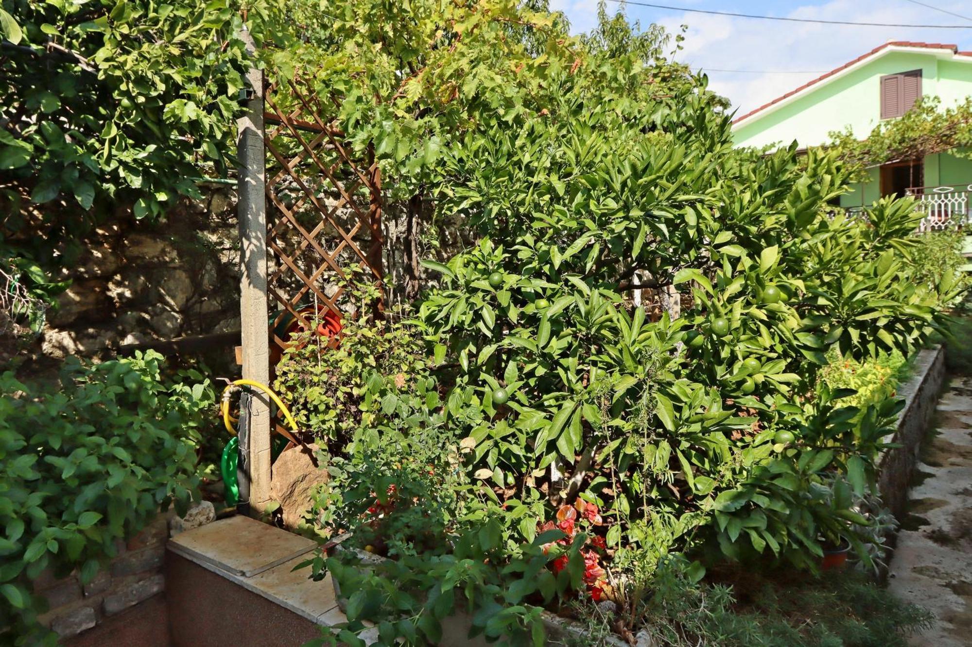 Apartments With A Parking Space Icici, Opatija - 7788 المظهر الخارجي الصورة